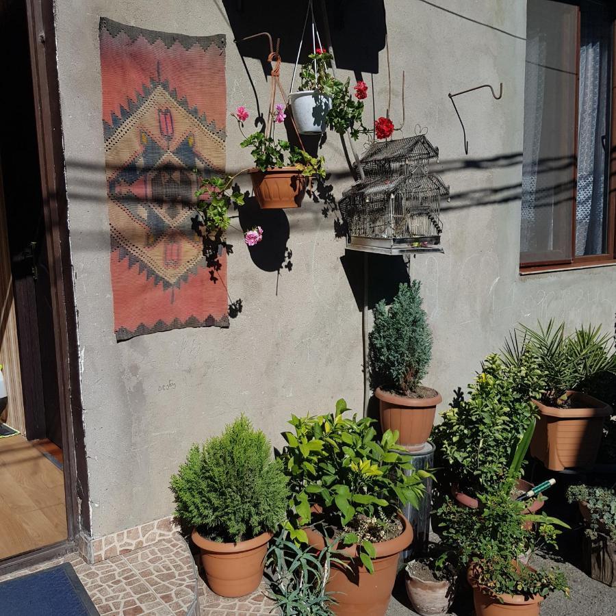 Guesthouse Gia Tbilisi Exterior foto